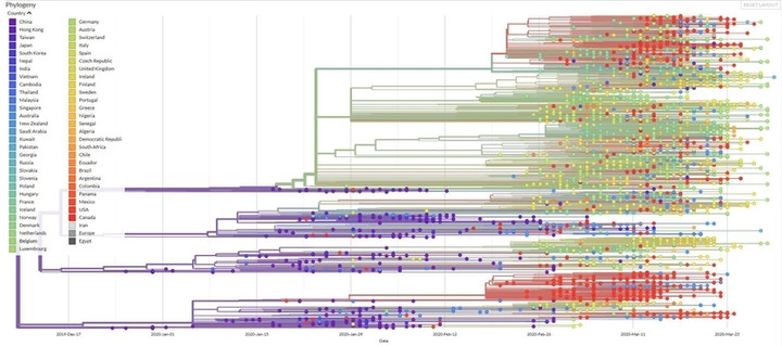 2020041500173491roupeiro0013view