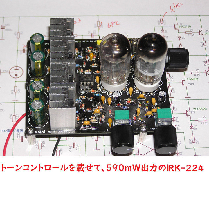 Rk224021