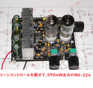 Rk224021